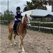 Ragazza neodiplomata da liceo scientifico si offre come tutor per materie di storia, filosofia, inglese, matematica, italiano